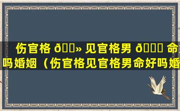 伤官格 🌻 见官格男 🐎 命好吗婚姻（伤官格见官格男命好吗婚姻怎么样）